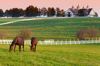 Howell-Real-Estate-Farm-Ranch